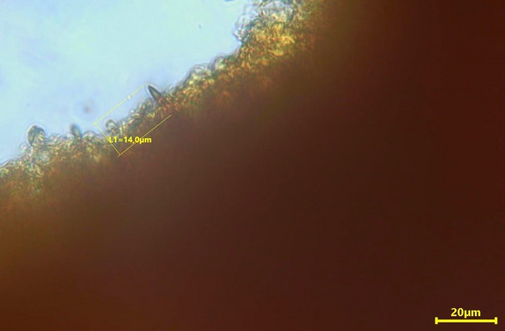 2020-10-04-13-19-39_bis1200.jpg