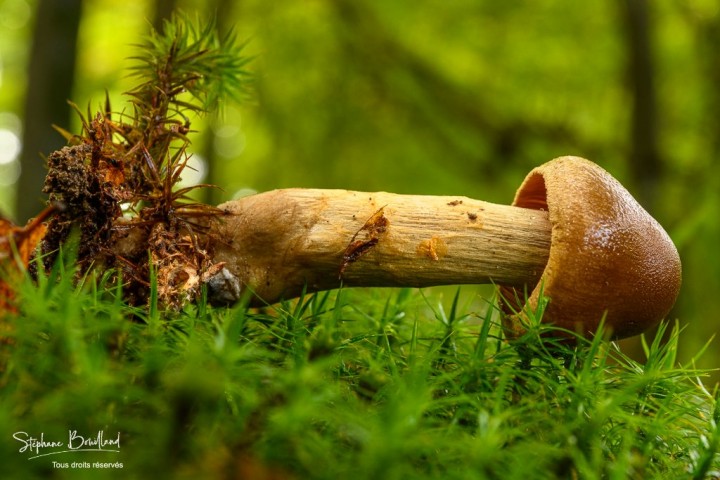 _DSC8708.jpg