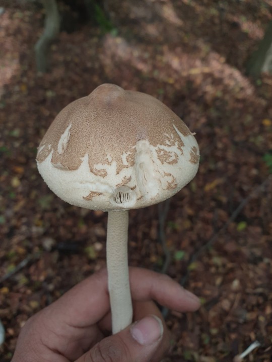 20201004_153246.jpg