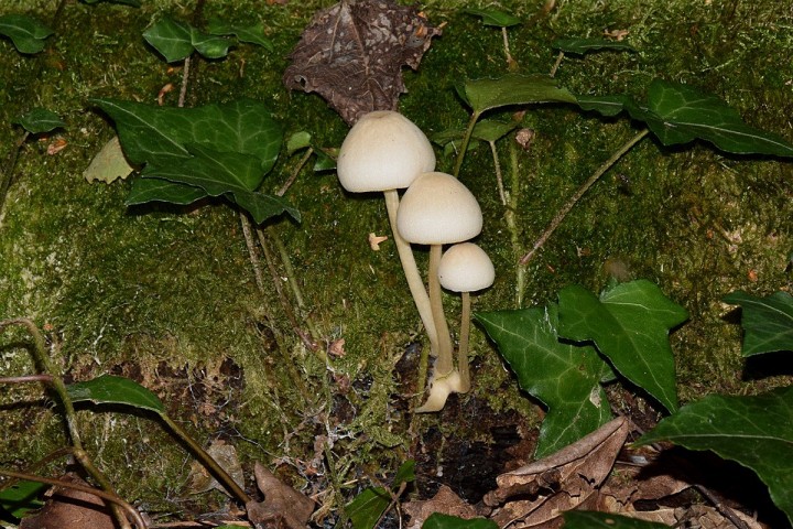 DSC_1448.jpg