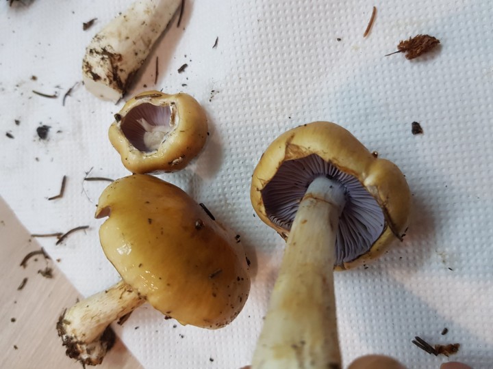 20201004_215557.jpg