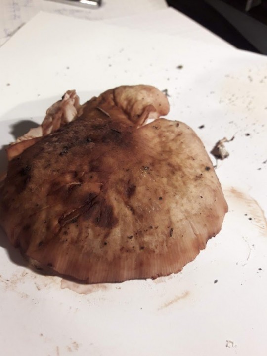 20201007_224843.jpg