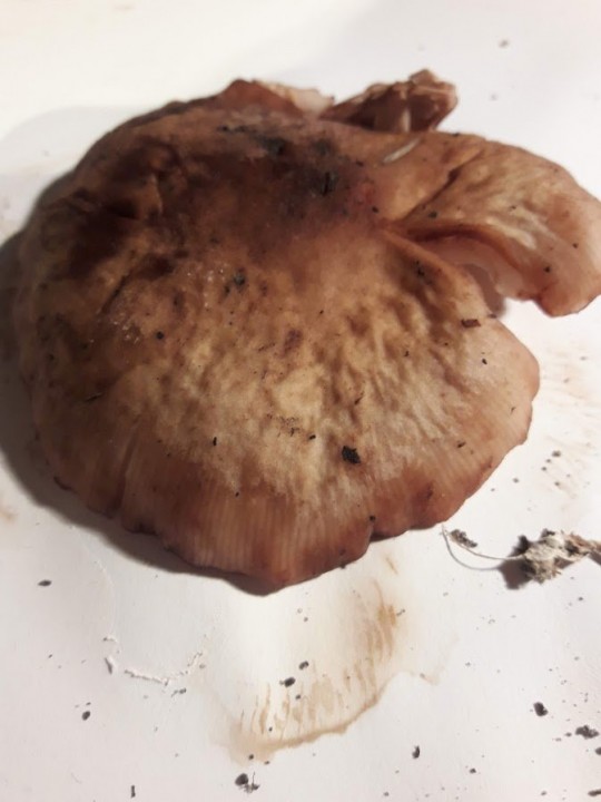 20201007_224906.jpg