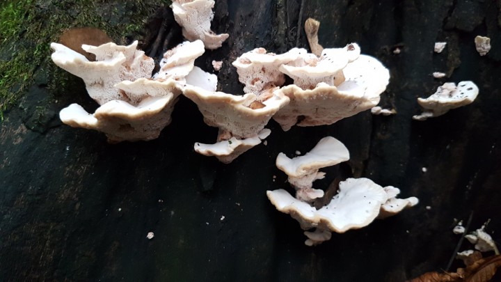 20201008_175200.jpg