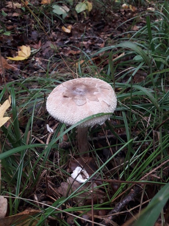 20201011_111937.jpg