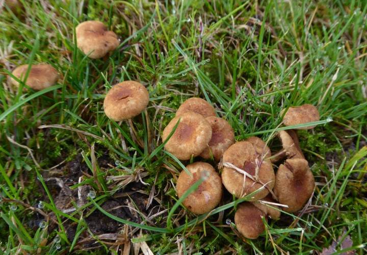 P1110960 (copie 1).JPG