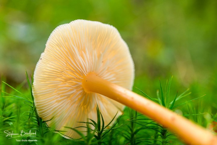 _DSC9918.jpg