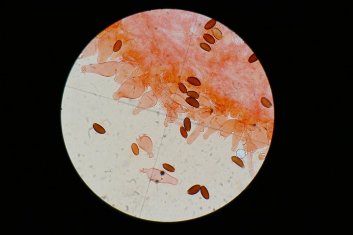 P1210926.JPG