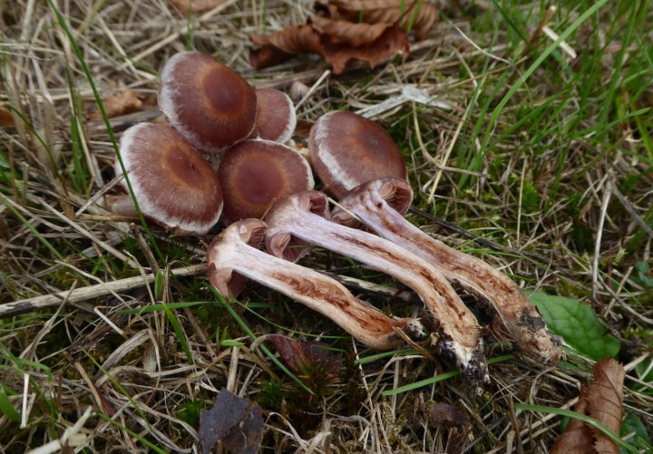 P1120204 (copie 1).JPG