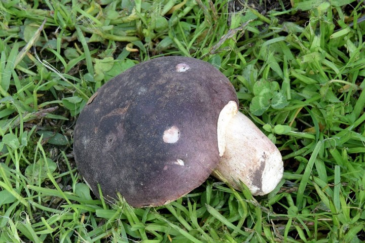 DSC_1504.jpg