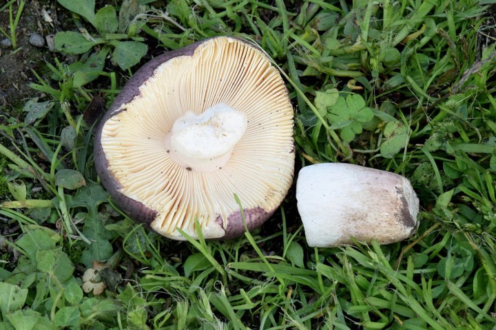 DSC_1506.jpg