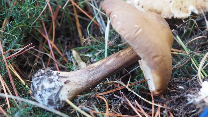 PA240307.JPG