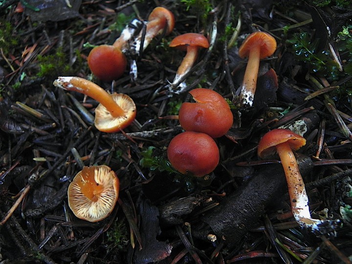 DSCN0398.JPG