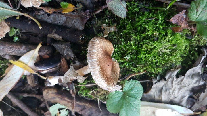 20201025_162123.jpg