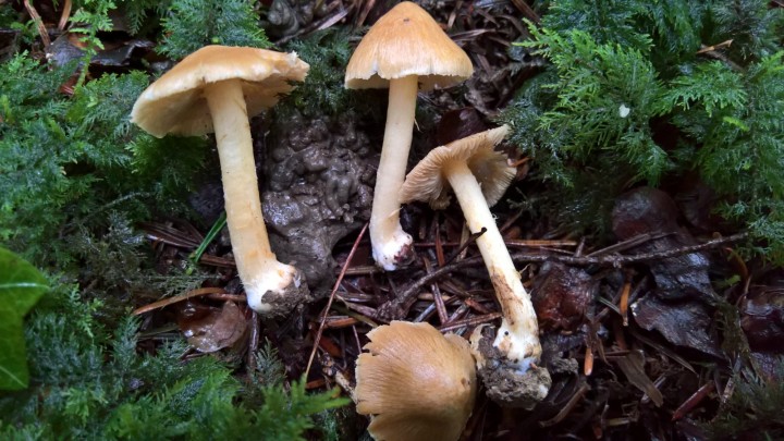 WP_20201023_16_25_33_Rich.jpg