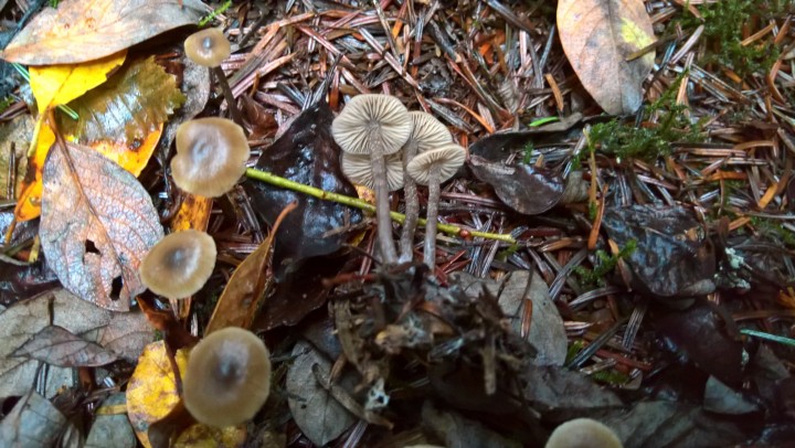 WP_20201024_17_08_49_Rich.jpg
