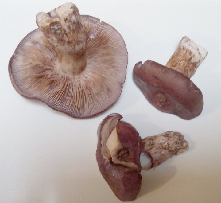 20201026_172435.jpg