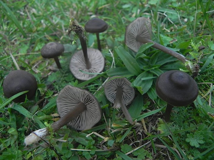 DSCN0593b.JPG