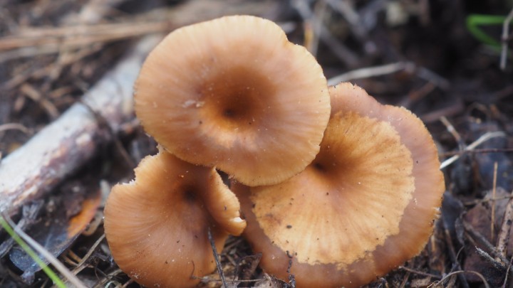 PB010126.JPG