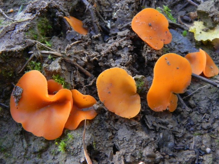 DSCN0613.JPG