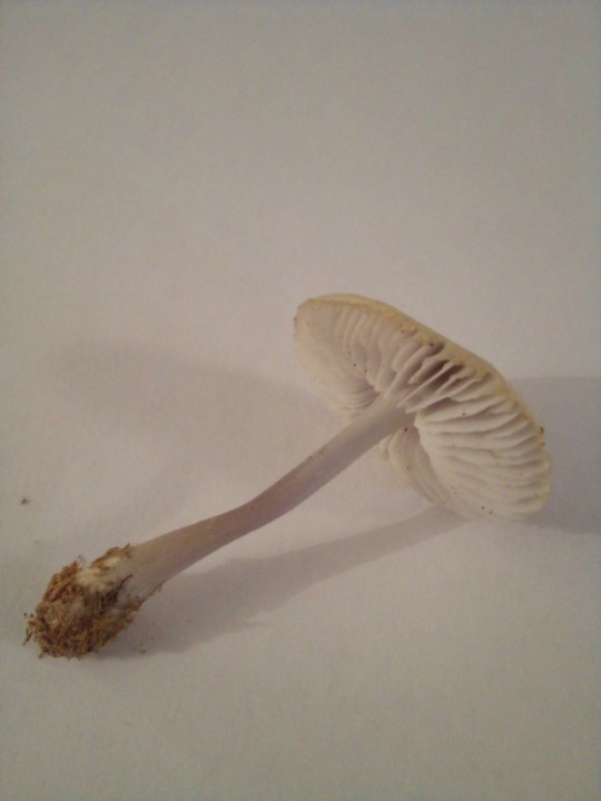 IMG_20201101_180220_288.jpg