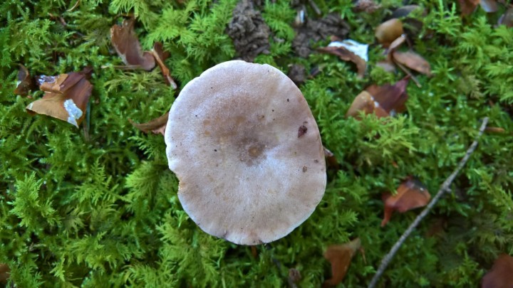 WP_20201106_16_04_18_Rich.jpg