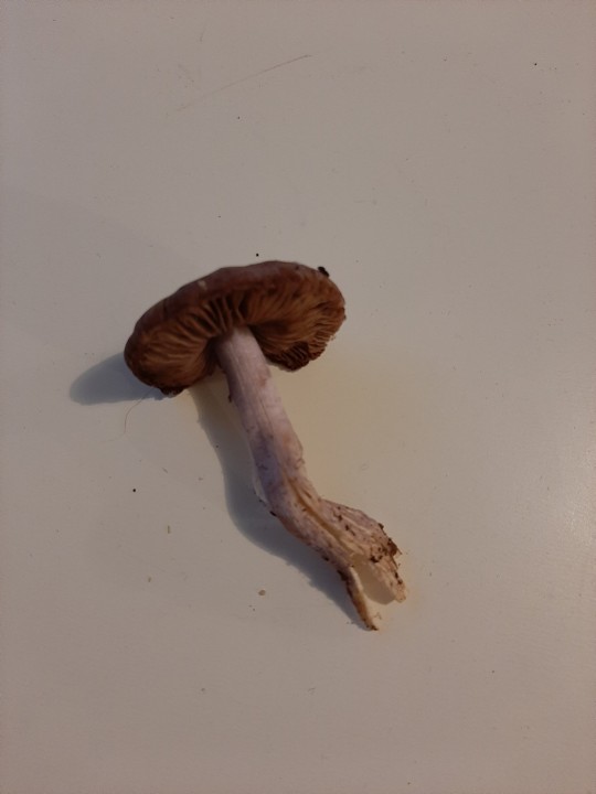 20201109_173423.jpg