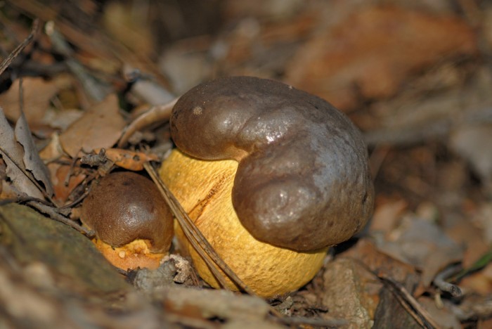 ASC_5197 copie.jpg