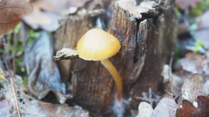 PB180297.JPG