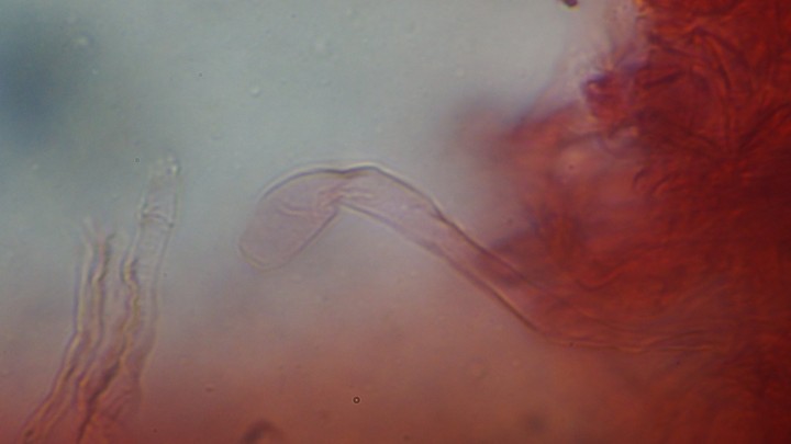 PB210402.JPG