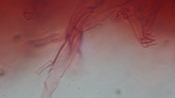 PB210404.JPG