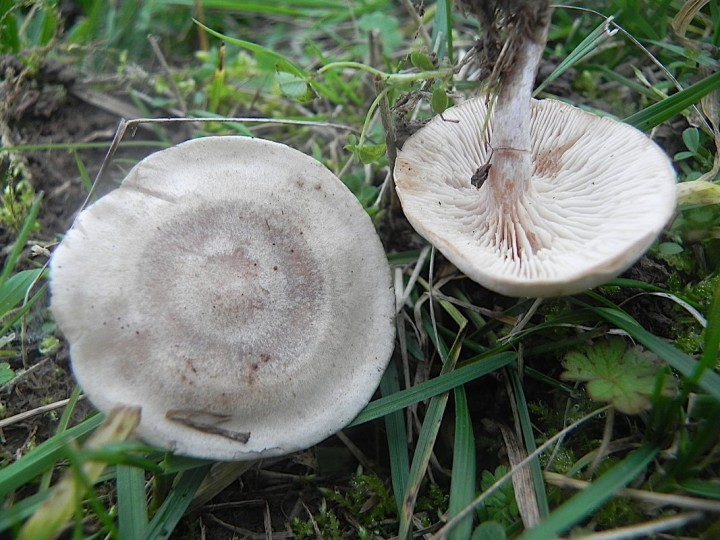 DSCN0590b.JPG