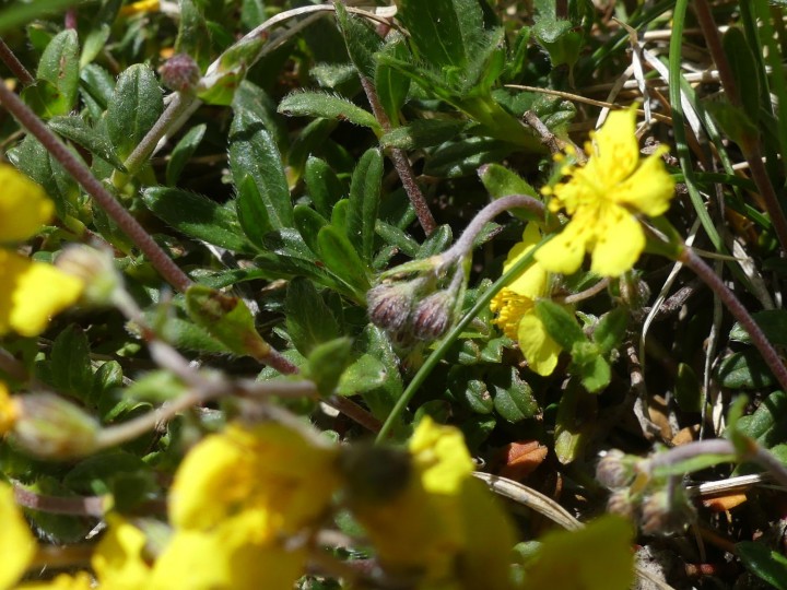 LaRuchere_2020-05-25_002_R.JPG
