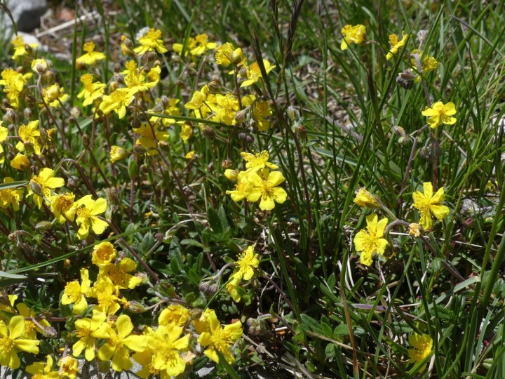 LaRuchere_2020-05-25_001_R.JPG