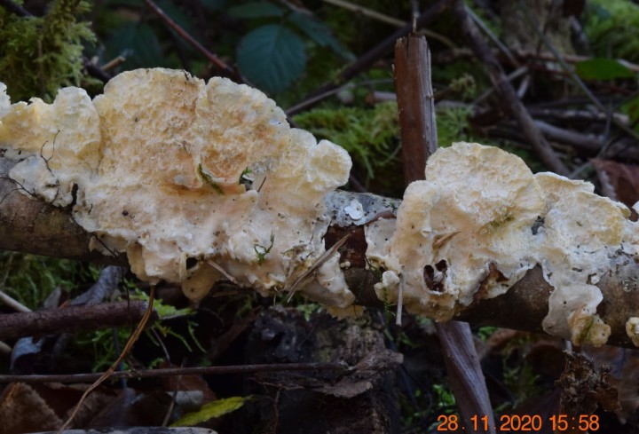 DSC_1509_01.JPG