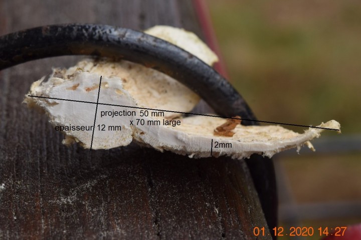 DSC_1516_01.JPG