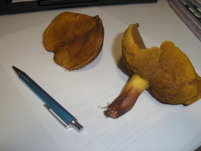 PB170027.JPG
