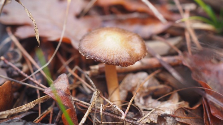 PC080014.JPG