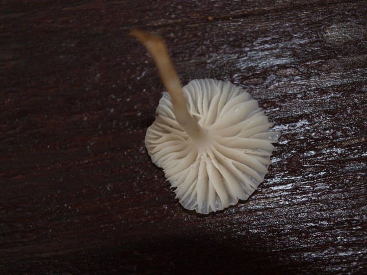 P1014626.JPG