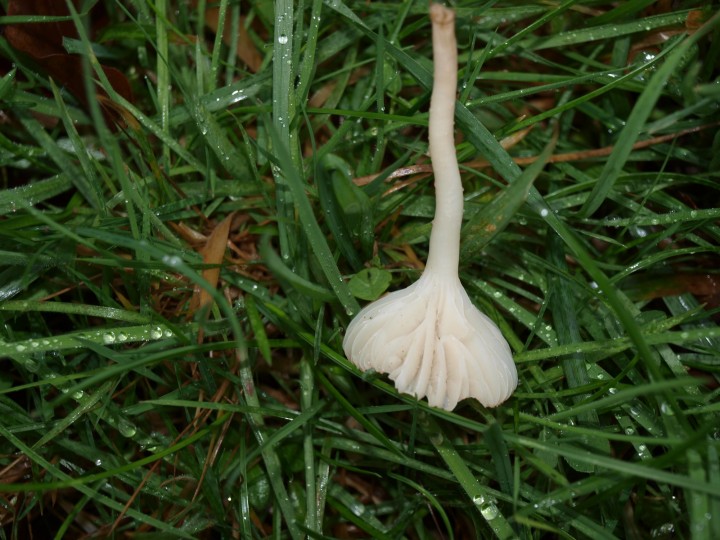 P1014630.JPG