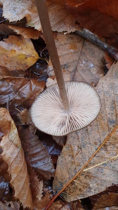 20201211_140937.jpg