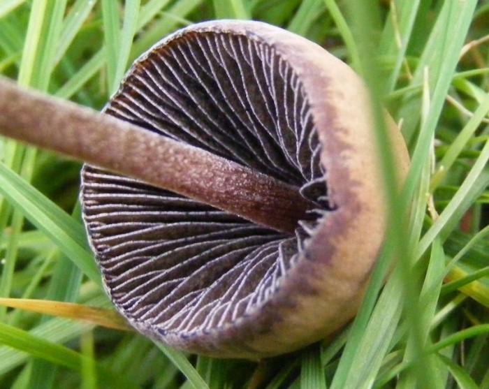 2008_0820essai0020.JPG