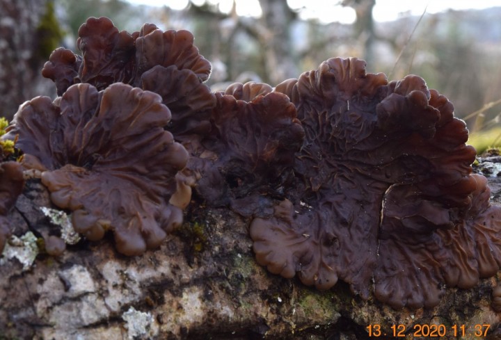 DSC_1539 1_01.JPG