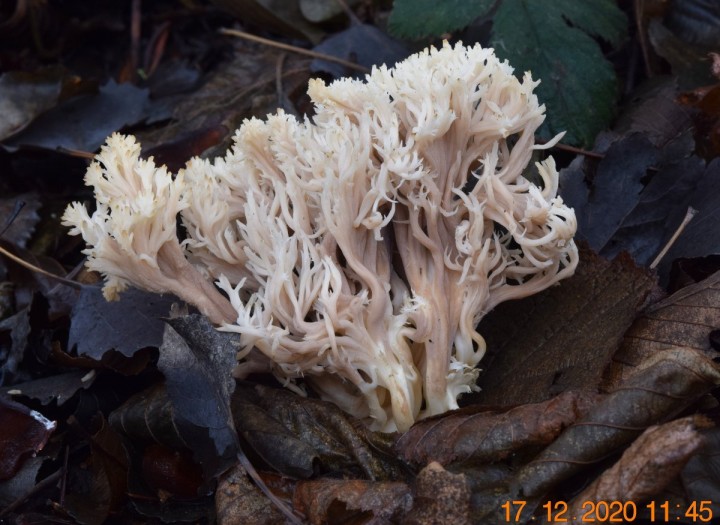 DSC_1555_01.JPG