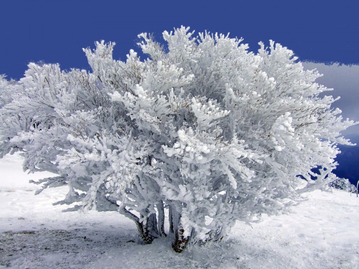DSCF0949.jpg