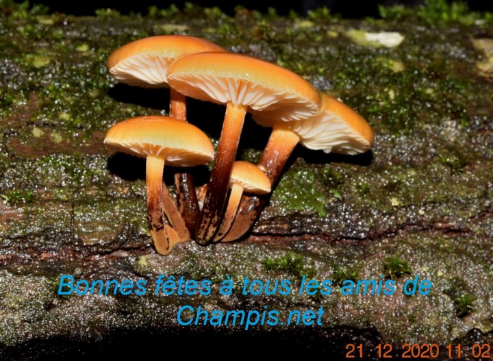 DSC_1570_01 - Copie.JPG
