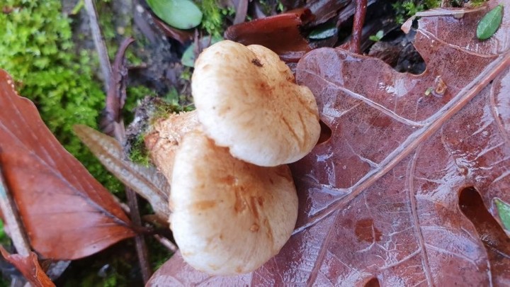 20201220_110258.jpg