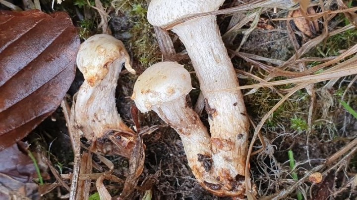 20201228_112137.jpg