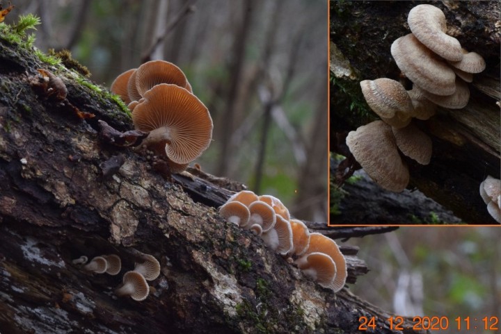 DSC_1576_01.JPG