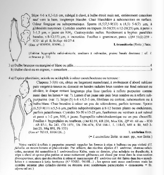 Screenshot_2021-01-03 Fascicule 111.jpg